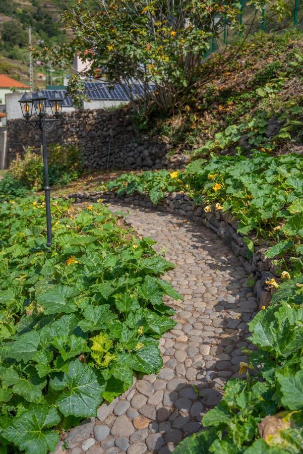 Solar Dos Reis By An Island Apart Ribeira Brava Exterior photo